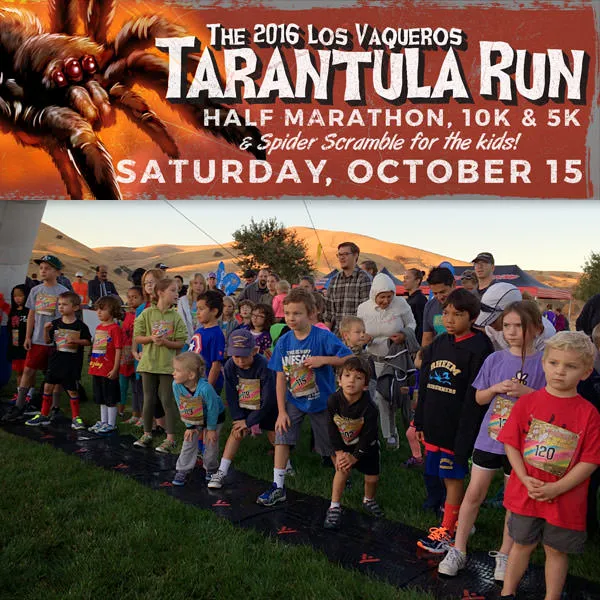 16221 tarantula legs