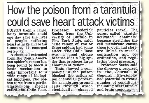 16230 pain relief tarantula