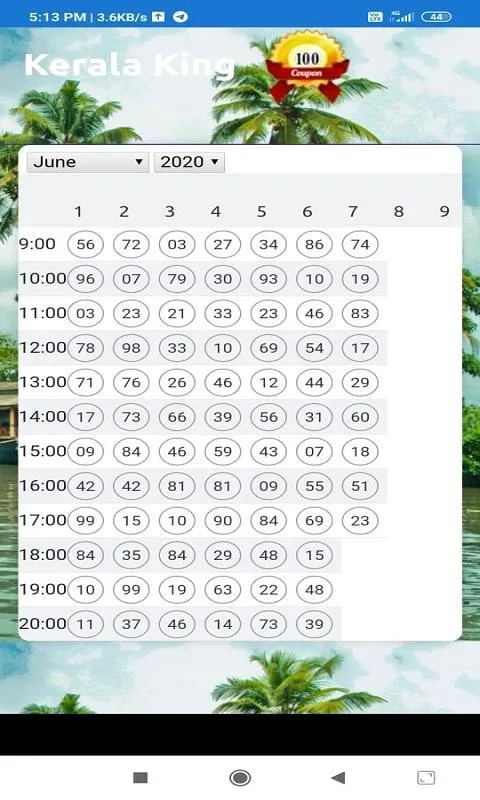 16236 king tarantula pre roll kerala image6