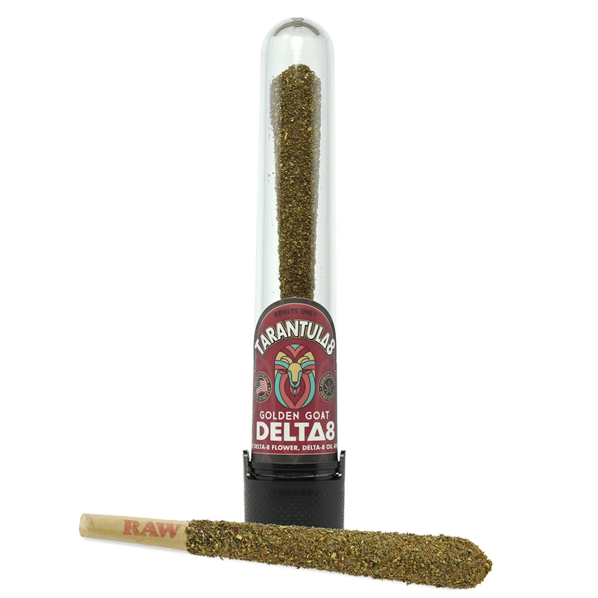16236 king tarantula pre roll kerala image7