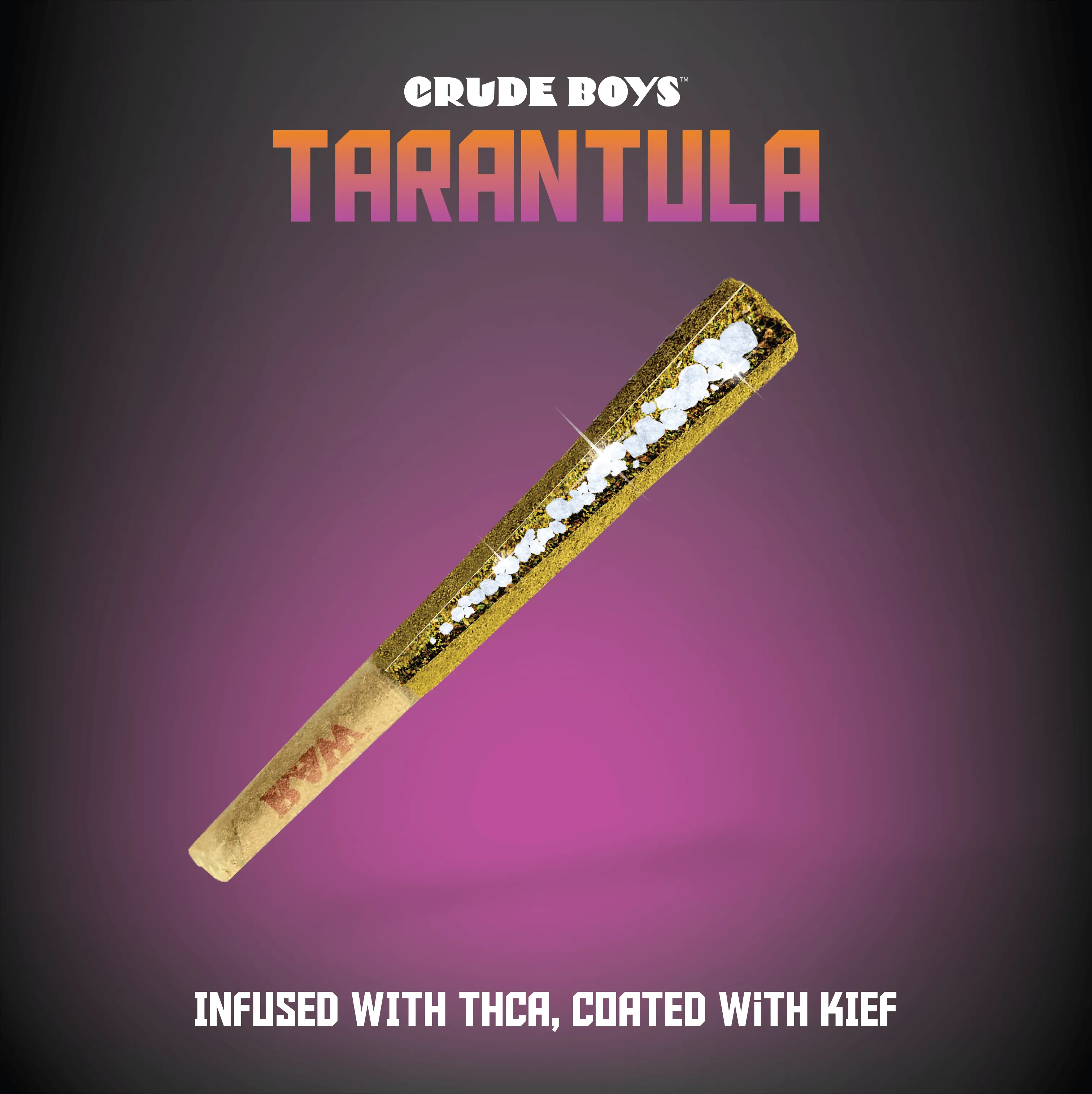 /img/16236-king-tarantula-pre-roll-kerala-image8.webp