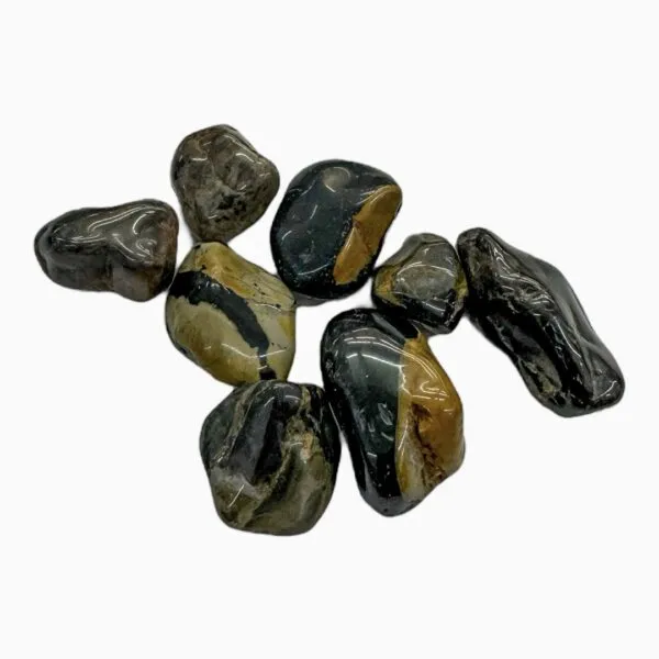 16240 roda tarantula onix vista geral