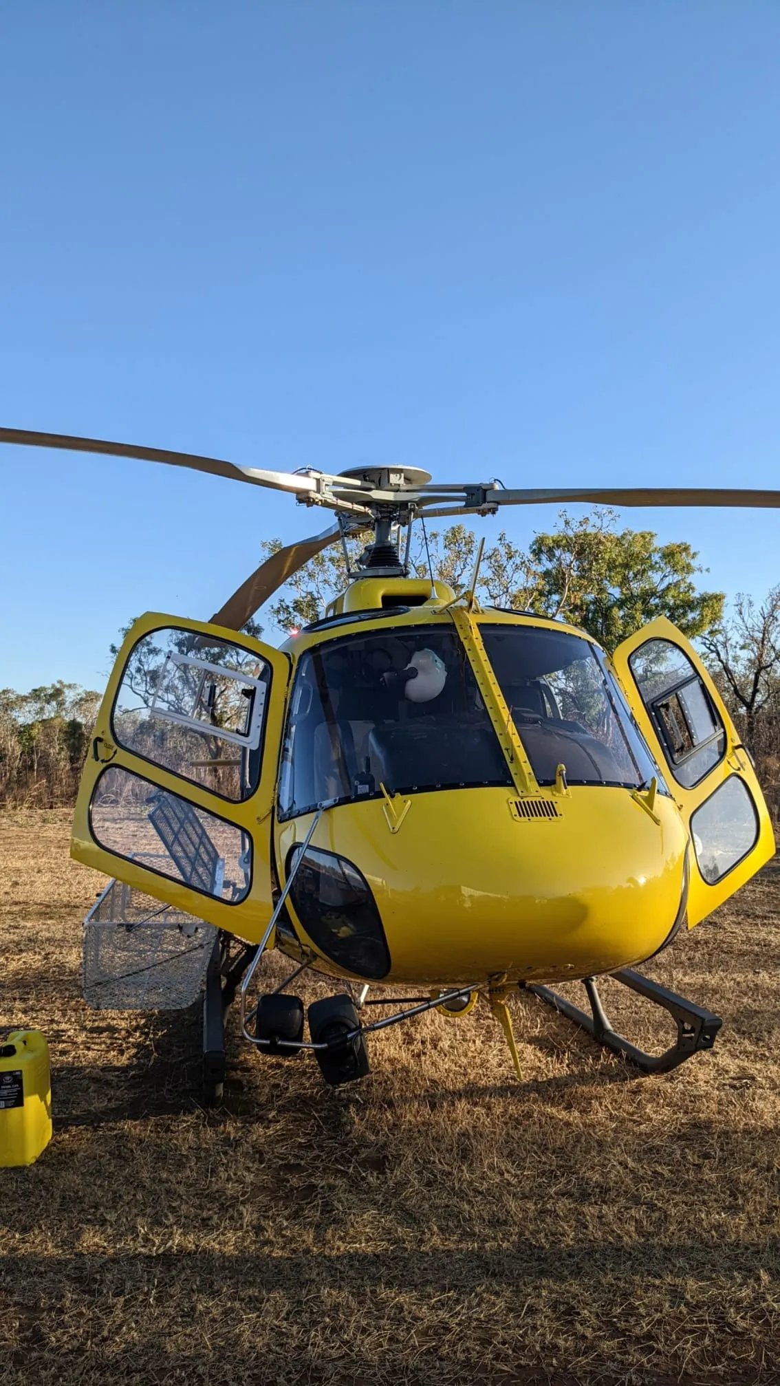 16250 tarantula habitat