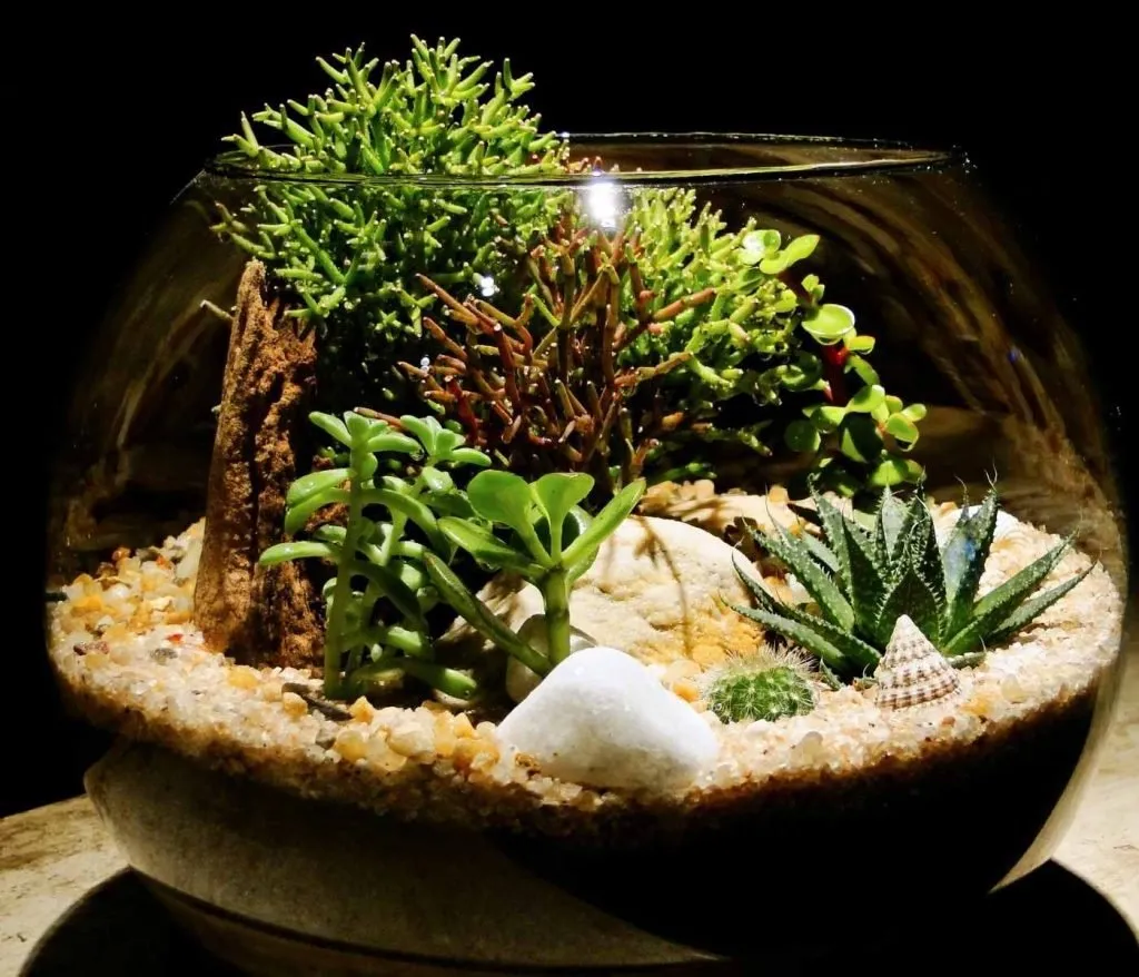 16255 tarantula enclosure maintenance