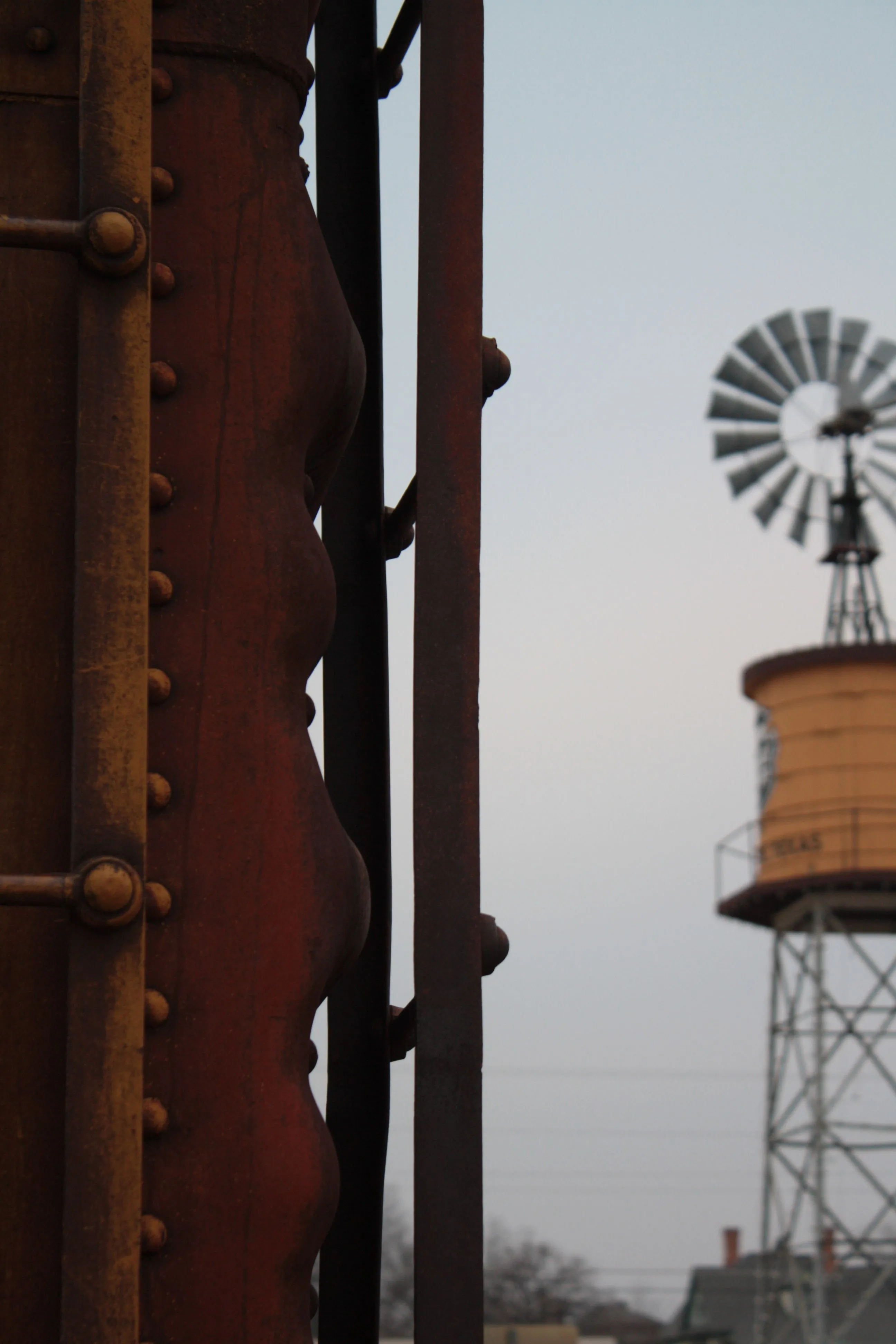 16259 tarantula train unique features