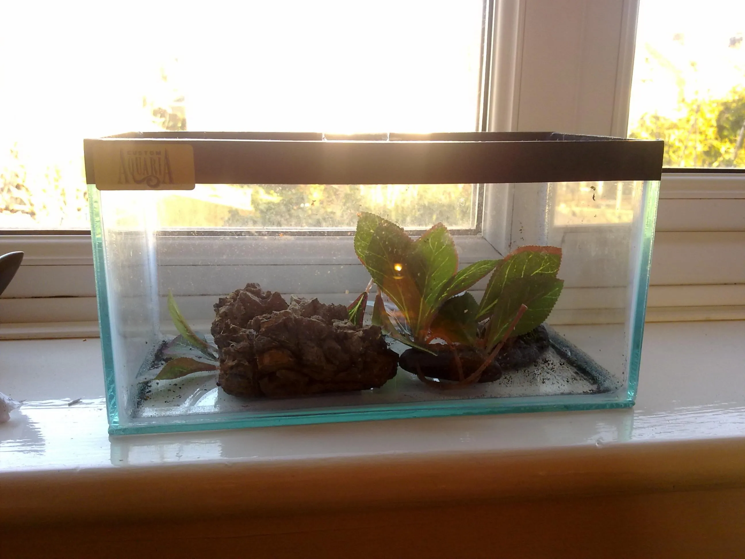 16267 tarantula tank material