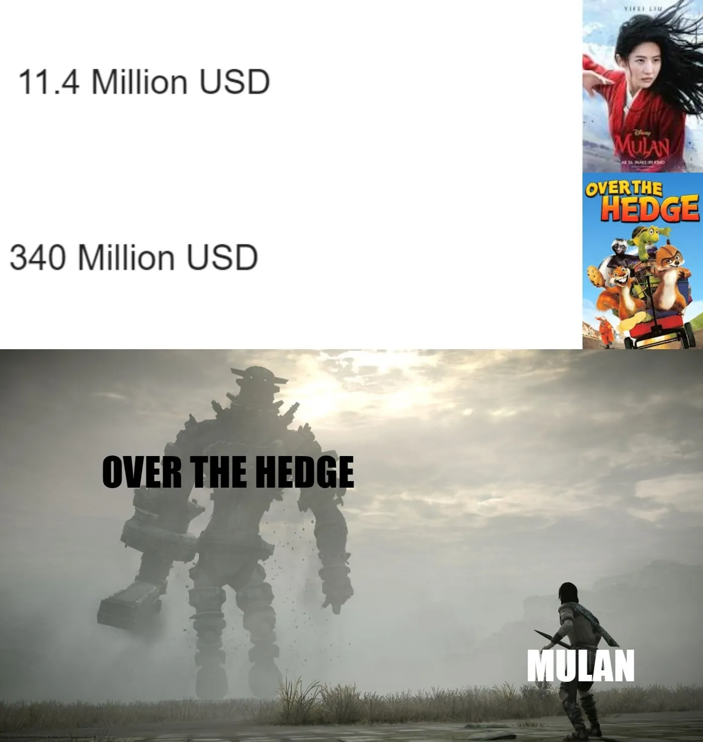 16269 reddit tarantula community