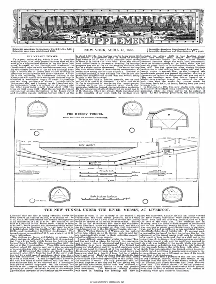 16274 tarantula behavior
