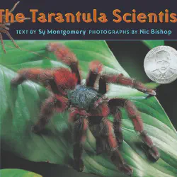 /img/16274-tarantula-breeding.webp