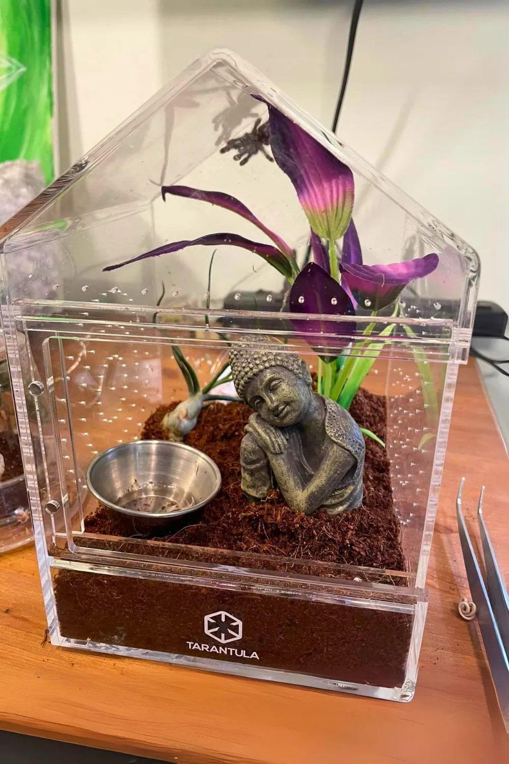 16276 fan placement tarantula