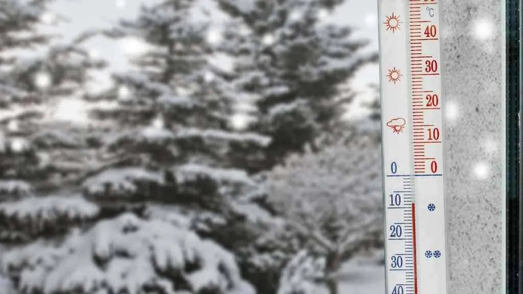 16292 tarantula temperature