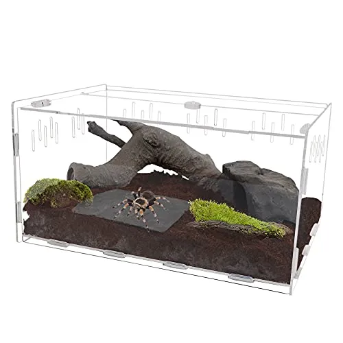 16309 glass tarantula enclosure