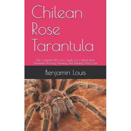16322 chilean rose tarantula enclosure
