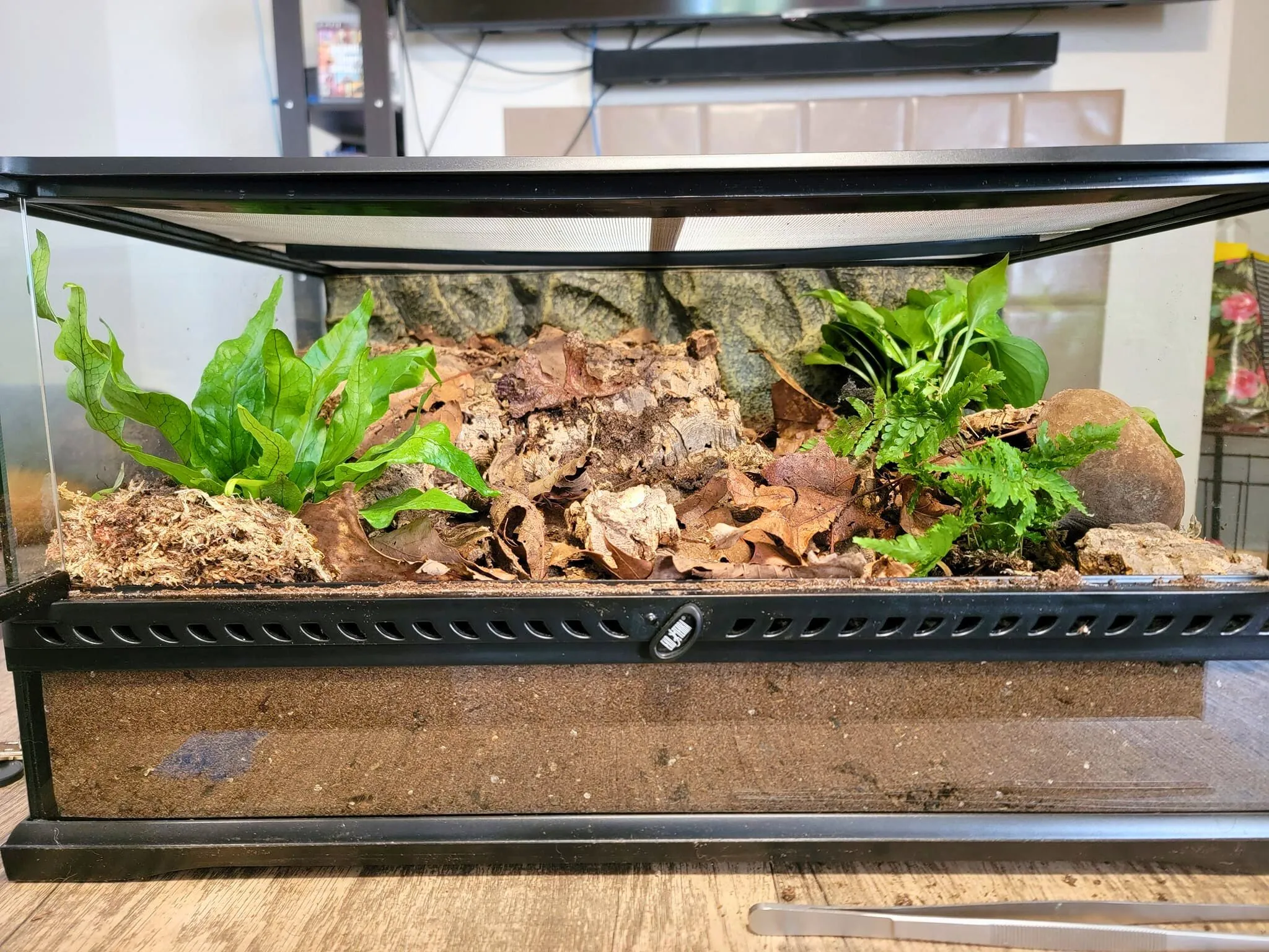 16326 tarantula enclosure overview