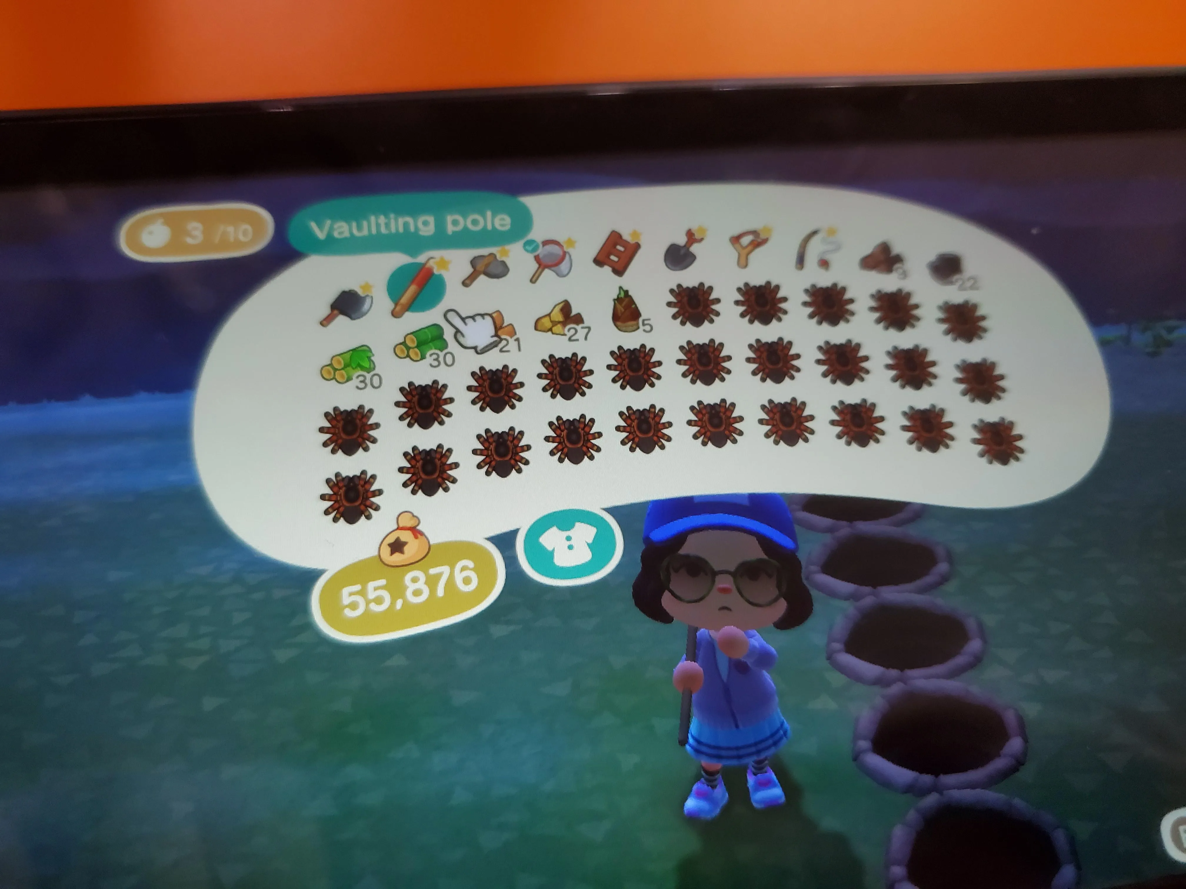 16361 tarantula mating