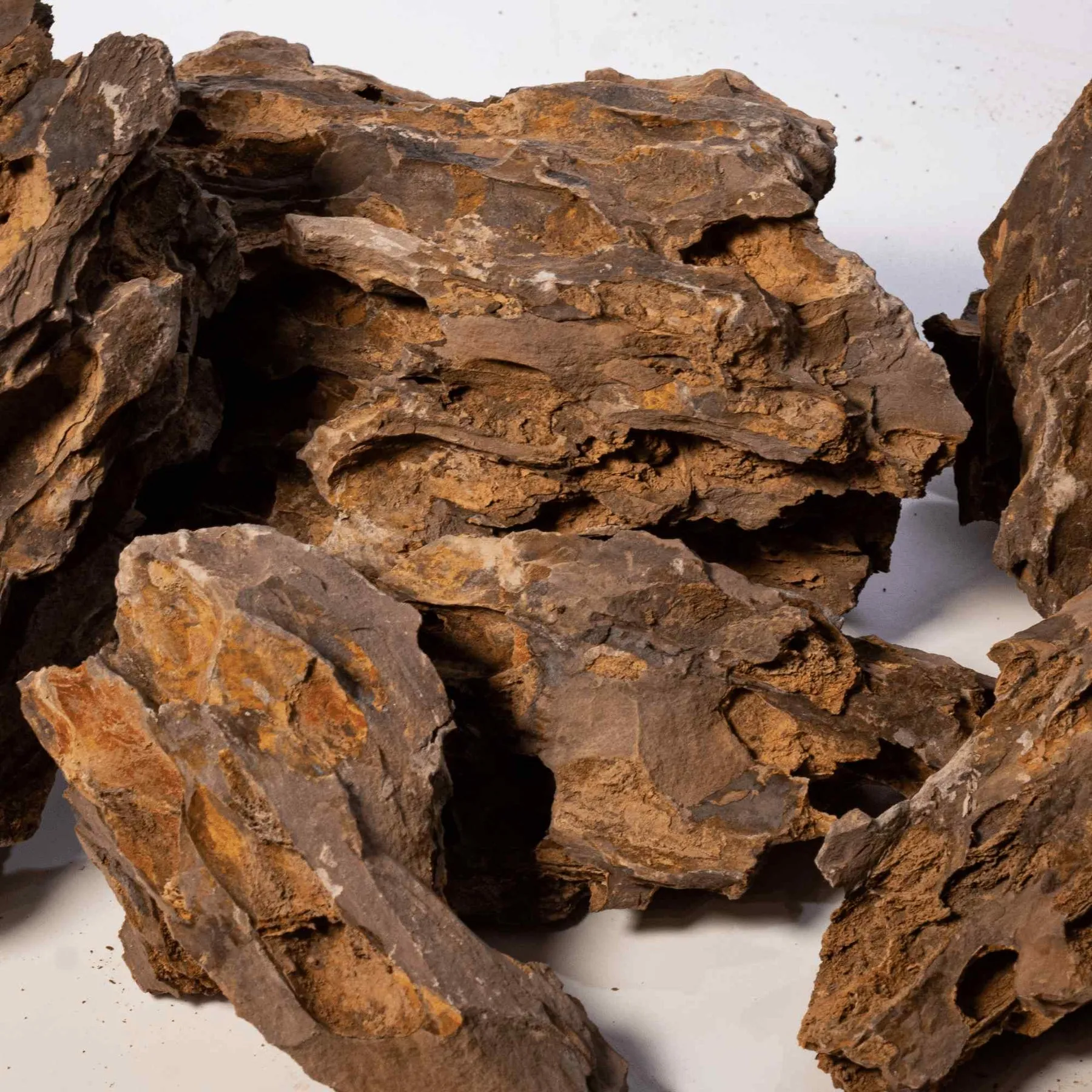 16368 tarantula substrate depth