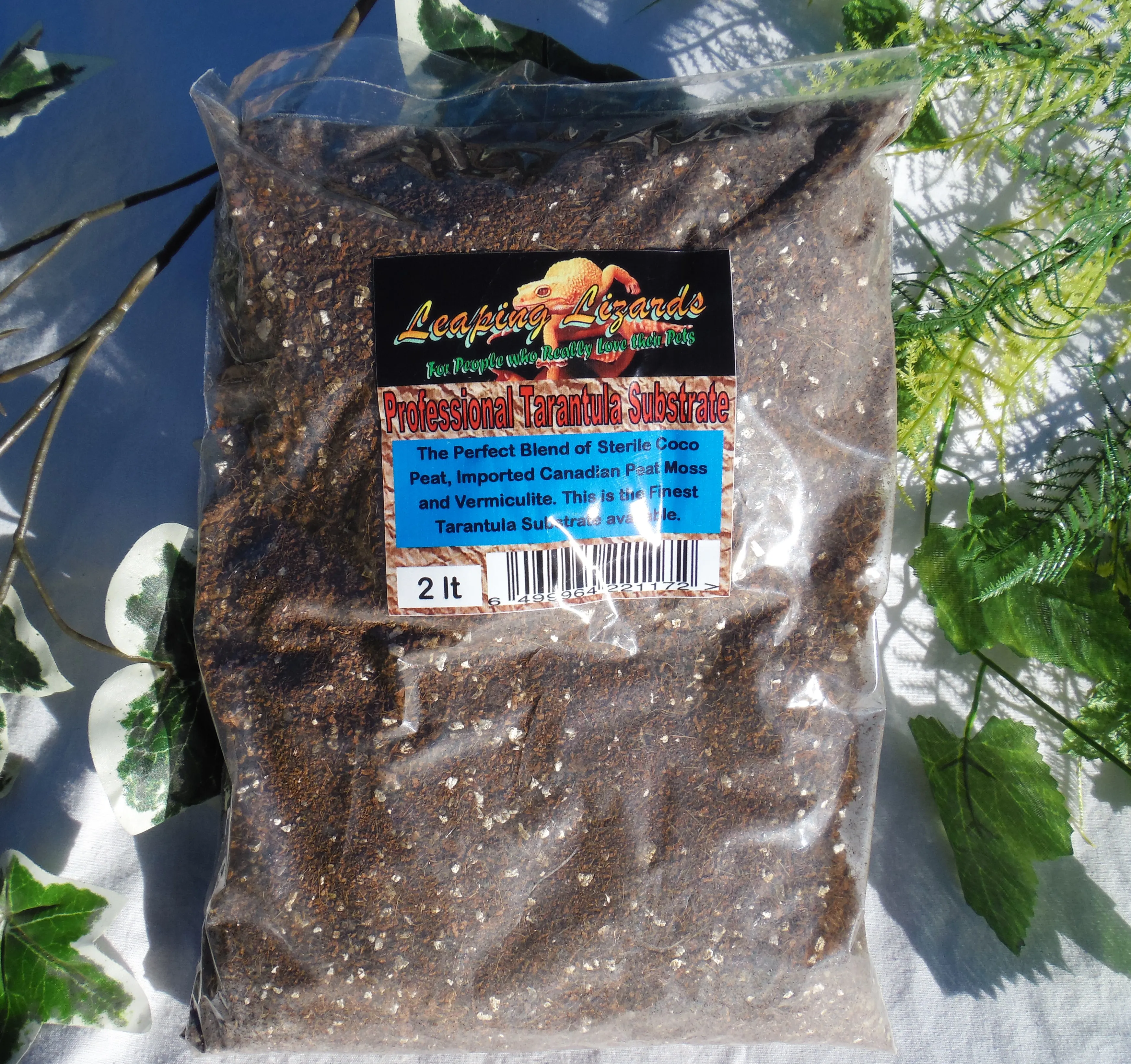 16368 tarantula terrarium setup