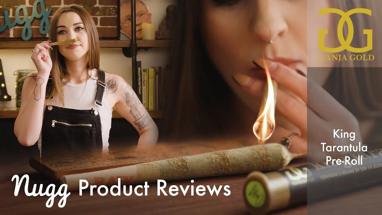 16390 king tarantula pre roll 3