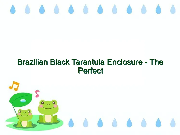 16394 brazilian blue tarantula enclosure 7