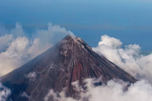 16417 mayon tarantula substrate