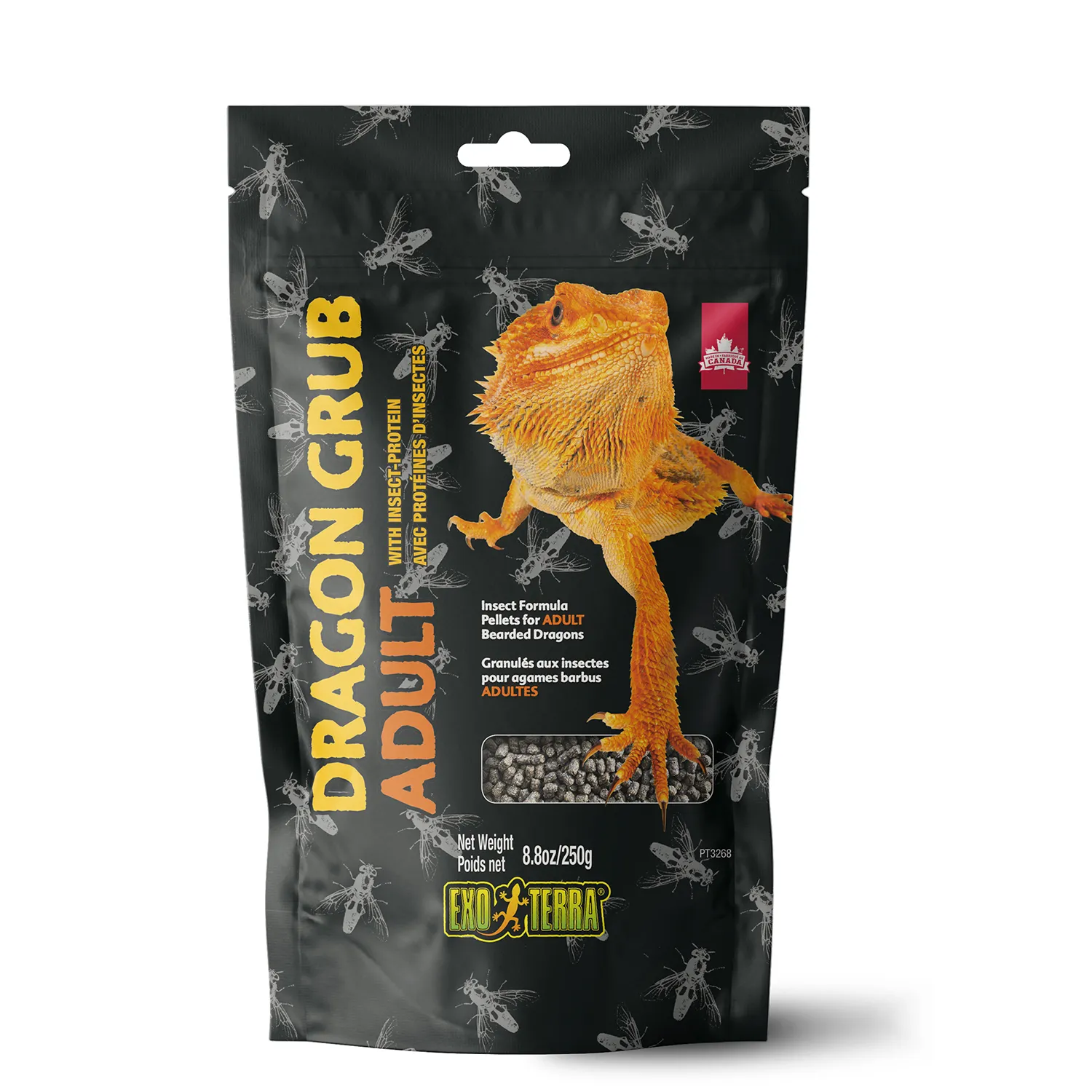 16422 exo terra terrarium tarantula setup 2