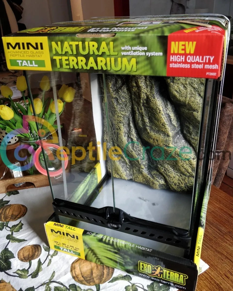 16422 exo terra terrarium tarantula setup 6