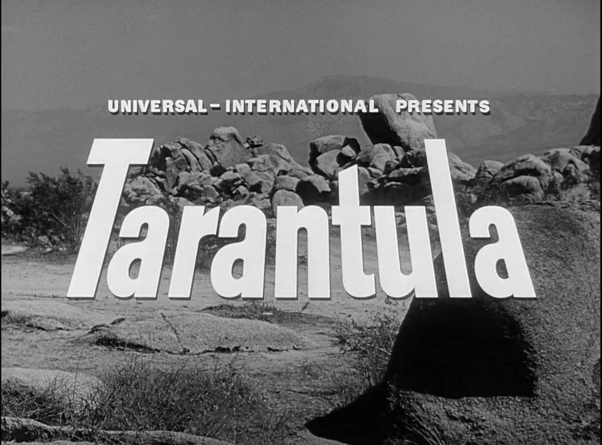 16454 tarantula tarantino breeding