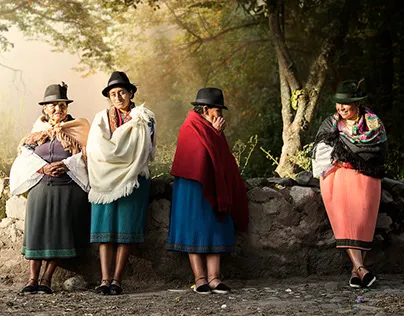 16461 tarantula molting