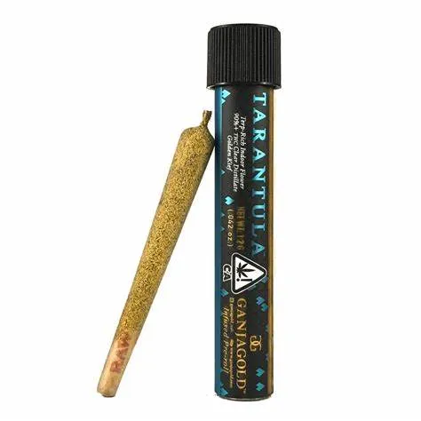 16475 tarantula ganjagold feeding