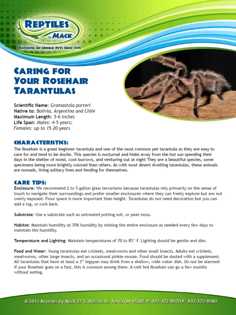 16479 tarantula substrate options