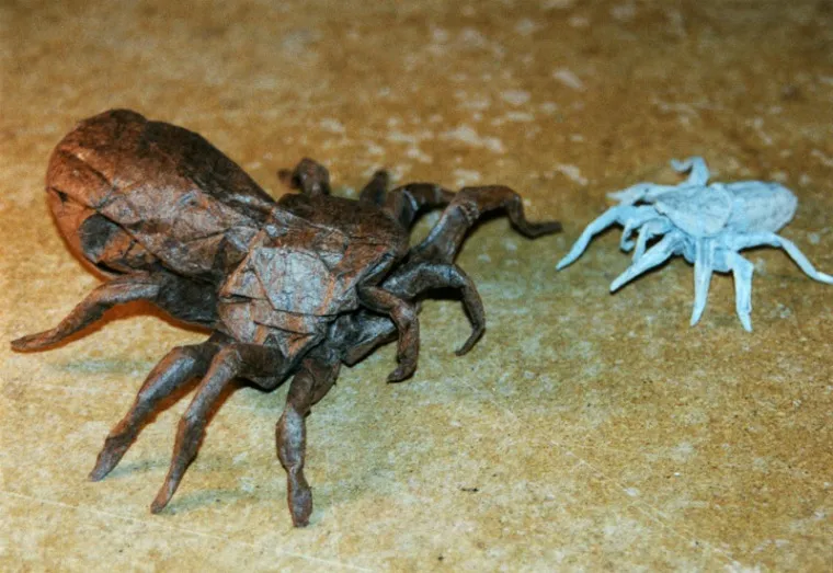 /img/16495-origami-spider-tarantula-close-up.webp