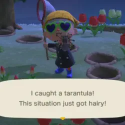 /img/16509-animal-crossing-tarantula-island-conclusion.webp