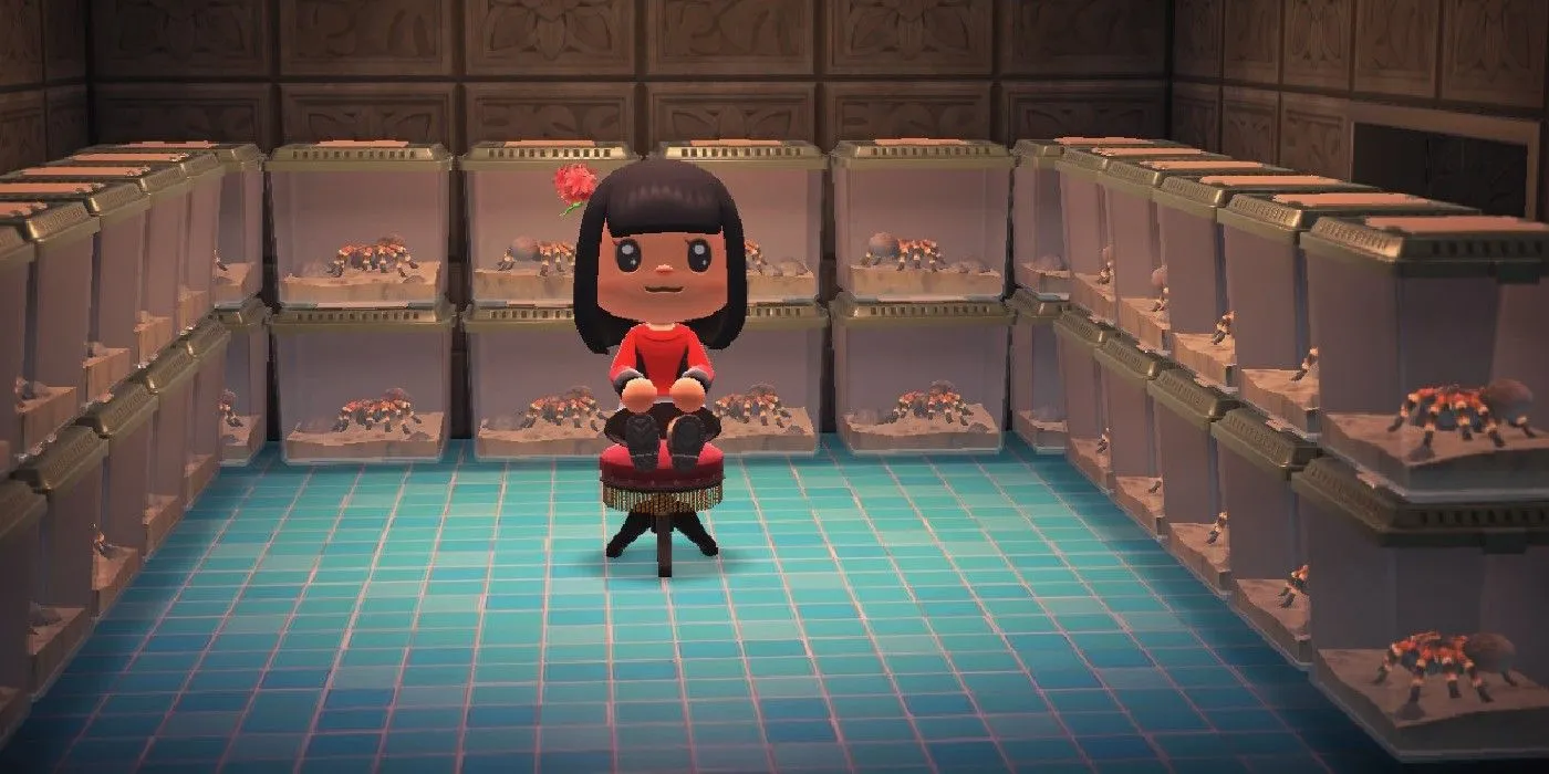 16509 animal crossing tarantula island entrance