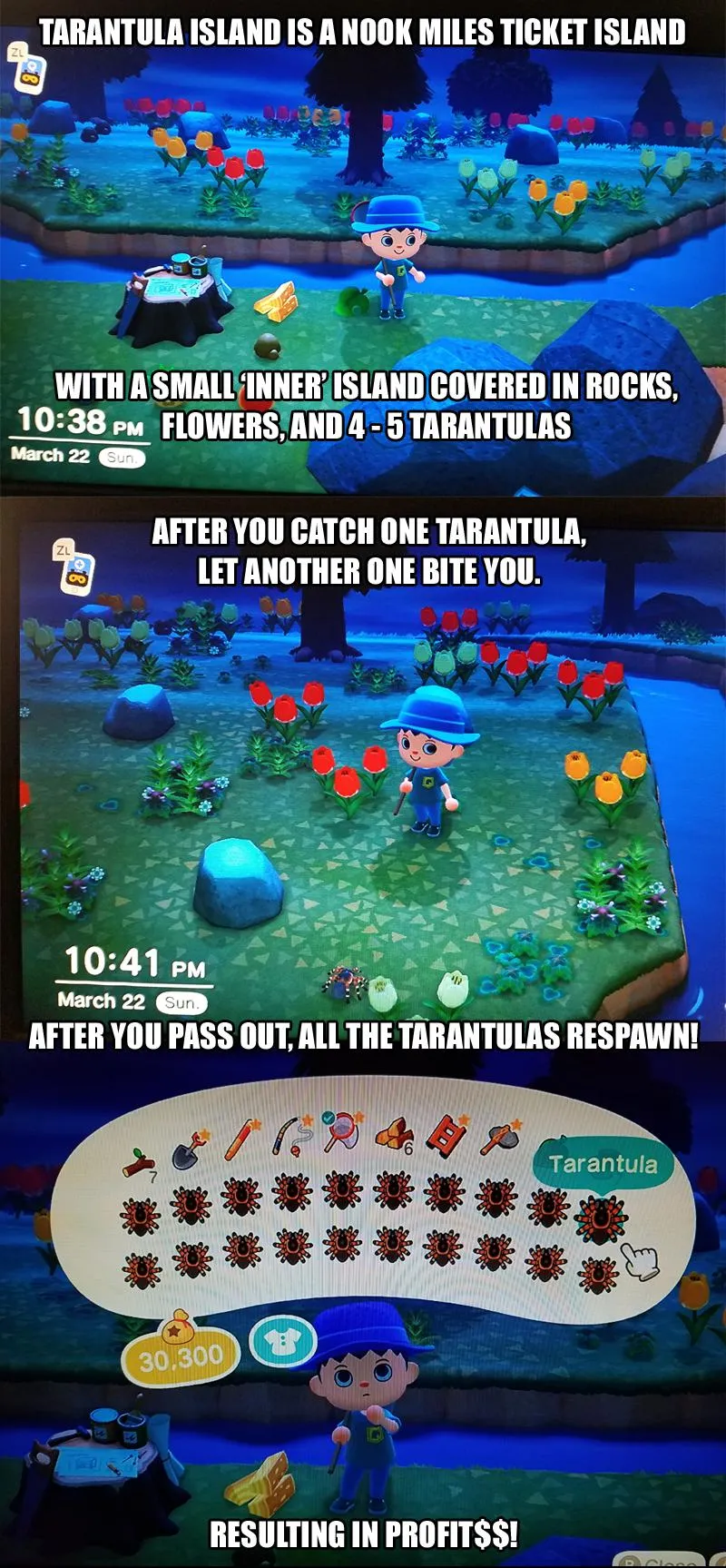 16509 animal crossing tarantula trap