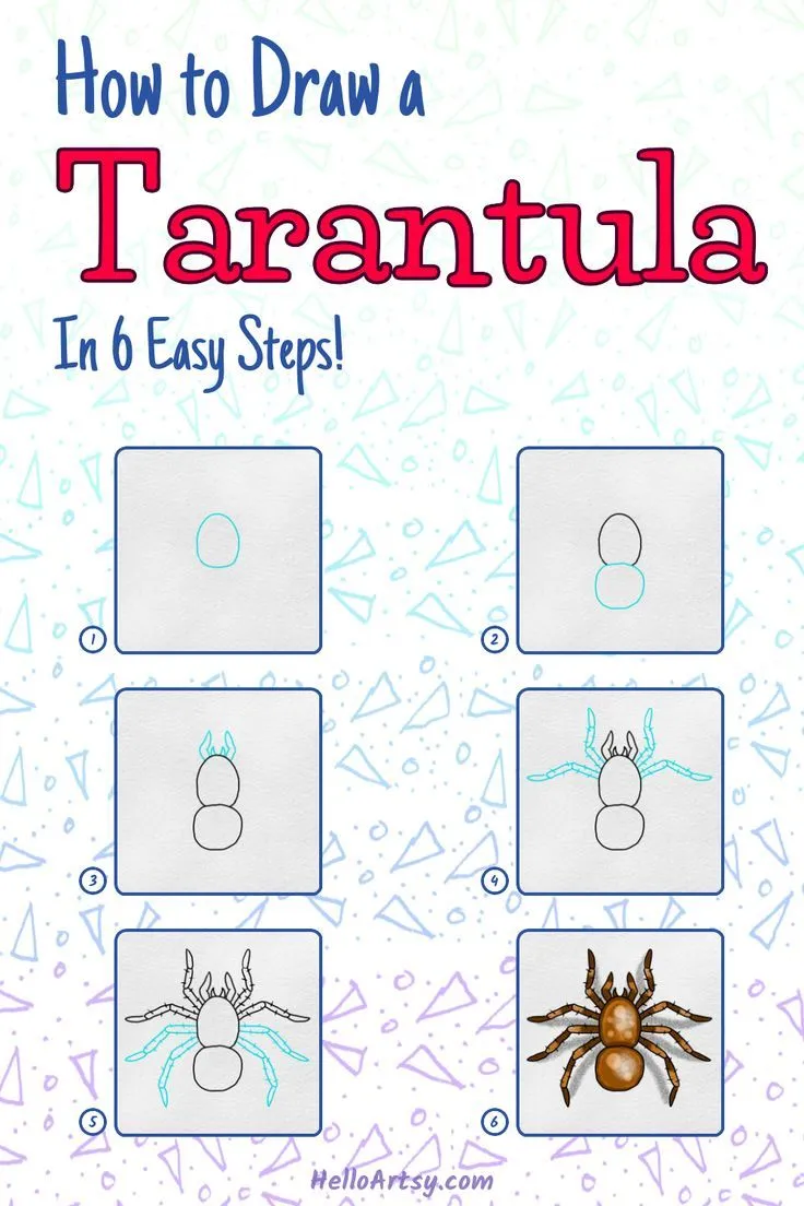 /img/16510-tarantula-finished-drawing.webp