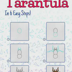 /img/16510-tarantula-finished-drawing.webp