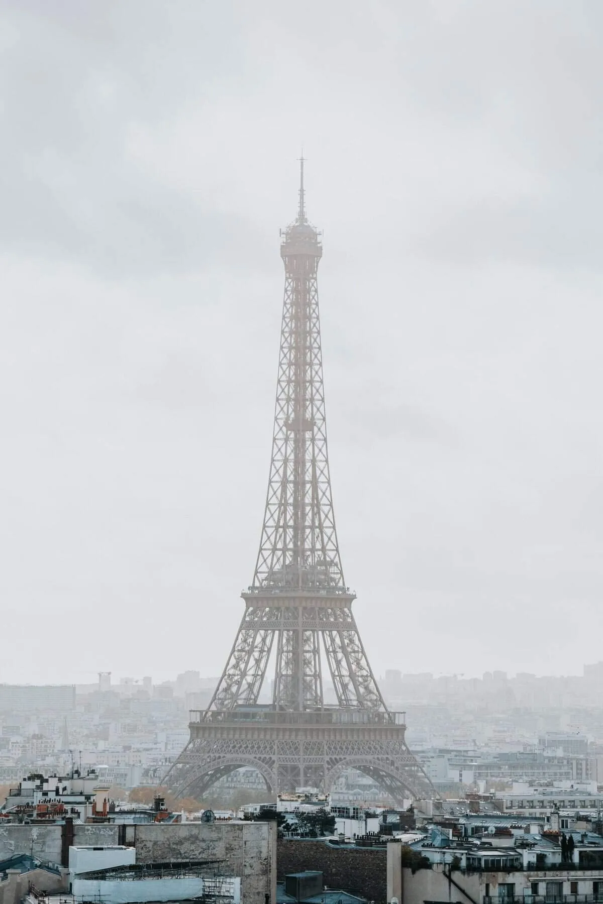 16529 misting sprayer for tarantula