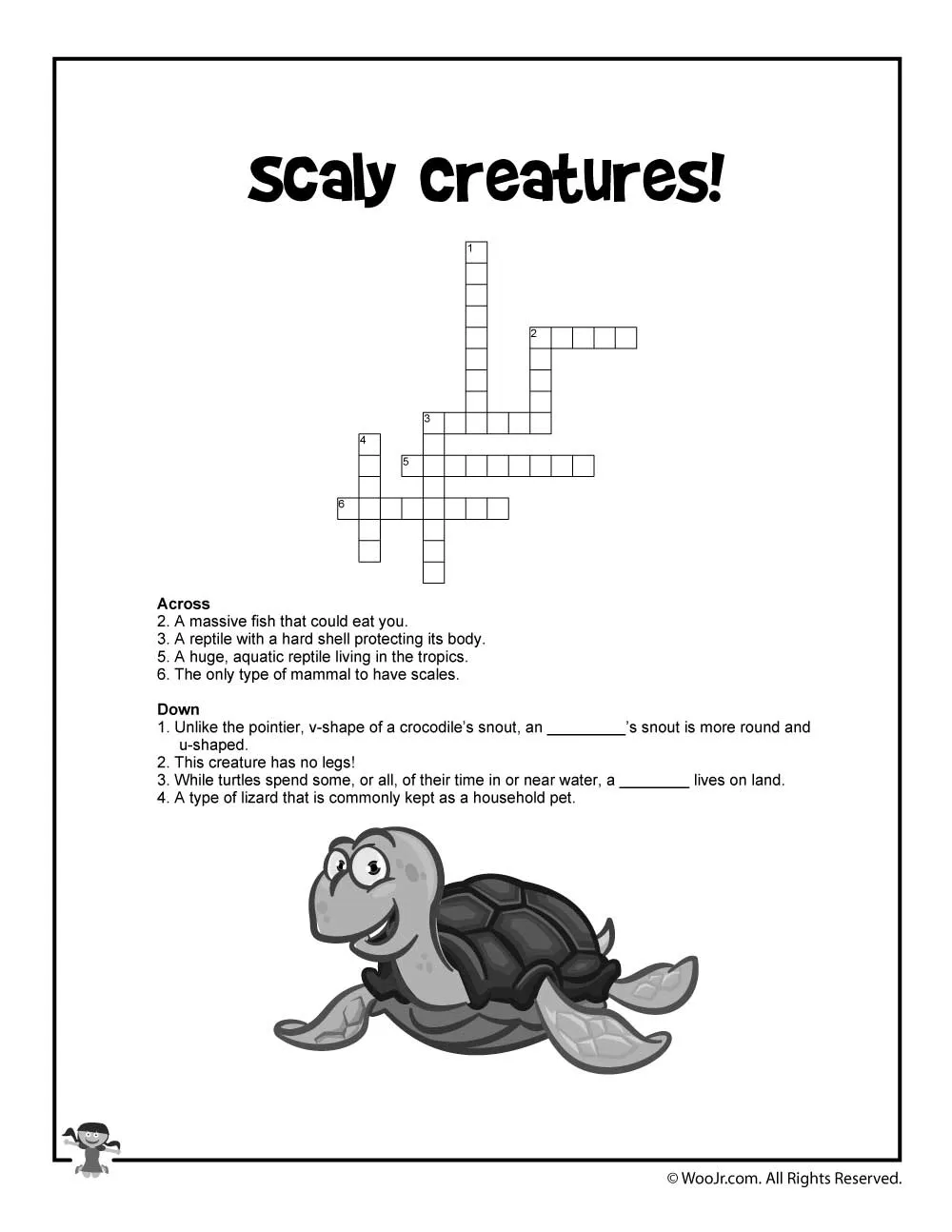 16532 tarantula vs turtle image