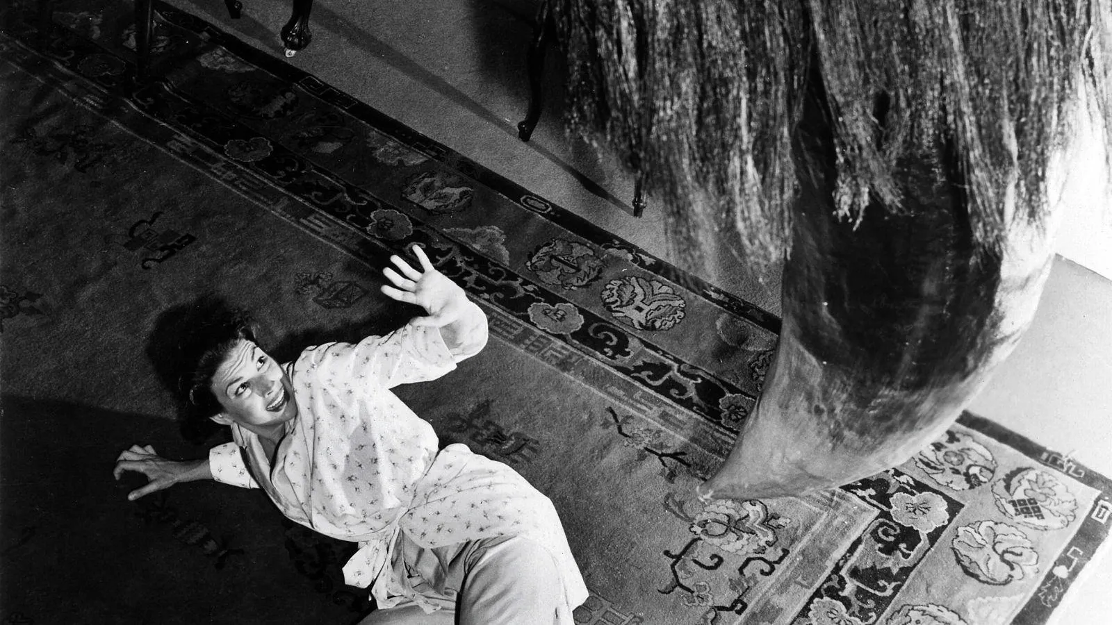 16545 tarantula show future