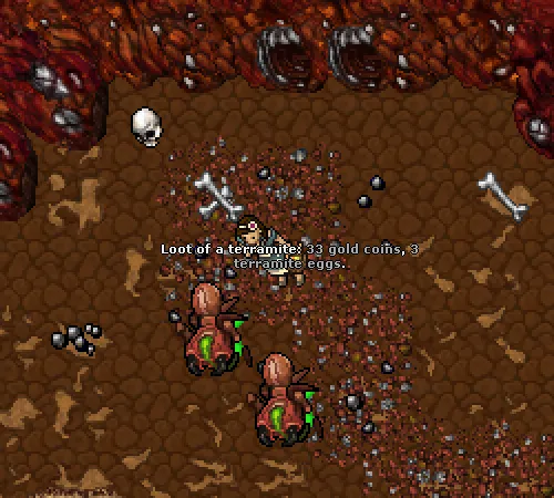 16548 tibia tarantula incubation