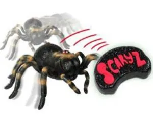/img/16554-tarantula-rc-critter-educational-value.webp