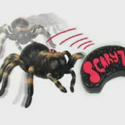 /img/16554-tarantula-rc-critter-educational-value.webp