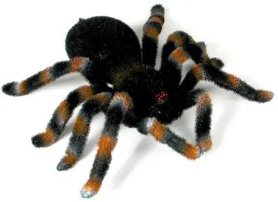 16554 tarantula rc sound effects