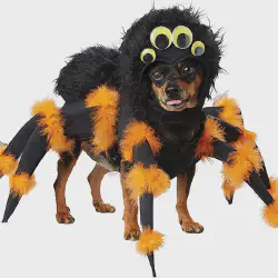 /img/16555-dog-tarantula-diy.webp
