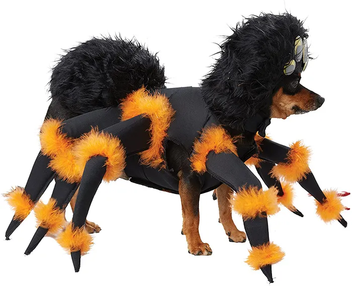 16555 dog tarantula materials