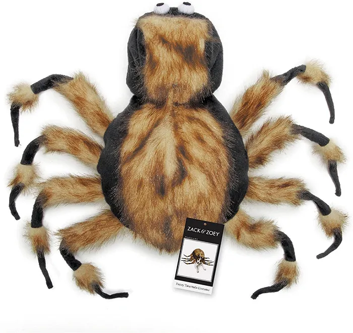 16555 dog tarantula size
