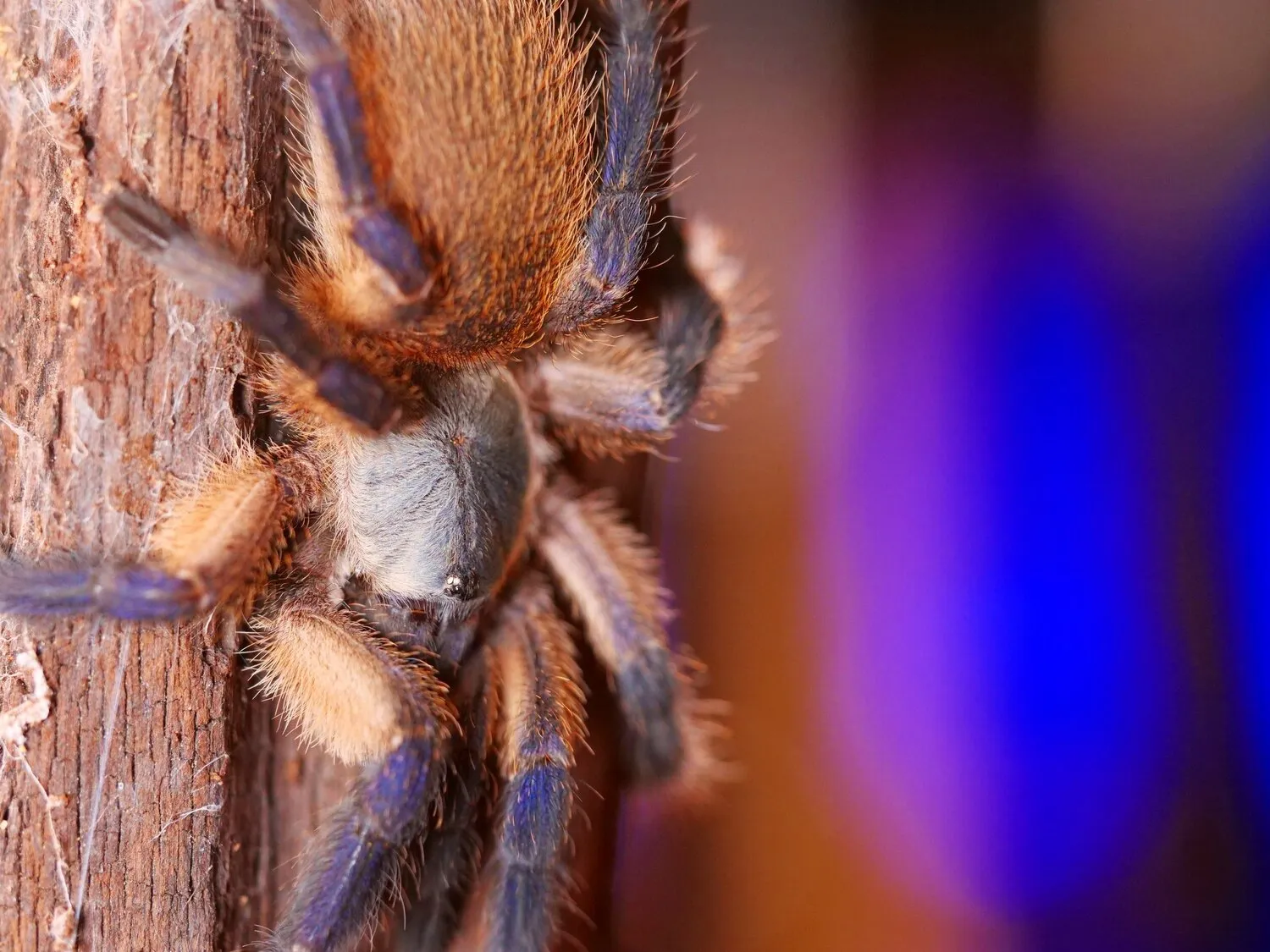 16562 instagram profile picture