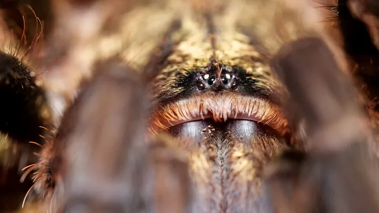 16562 instagram reels